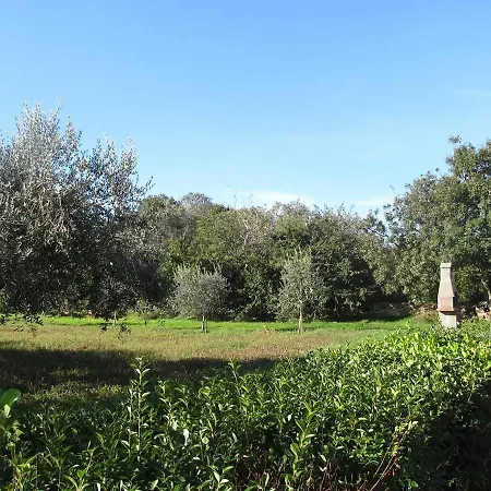 Апартаменты Barbara Лижнян