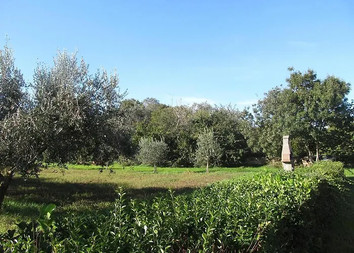 Lejlighed Barbara Ližnjan