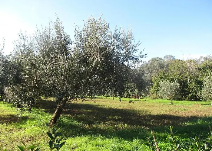 아파트 Barbara Ližnjan